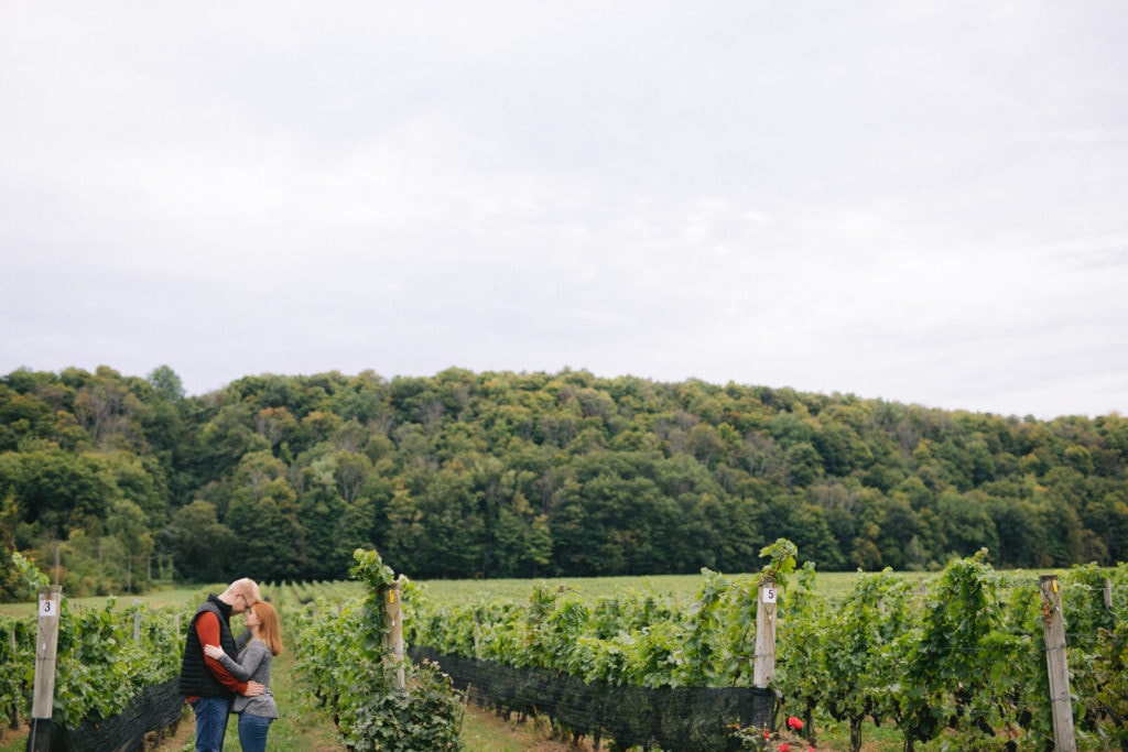 Engagement Photos in vineyards in Jordan Station