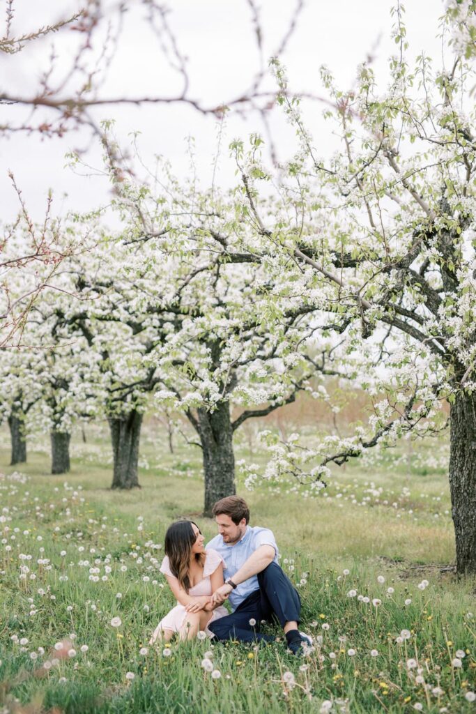 Couple Sitting on the ground under white blooming trees for engagement photos by Niagara Photographer